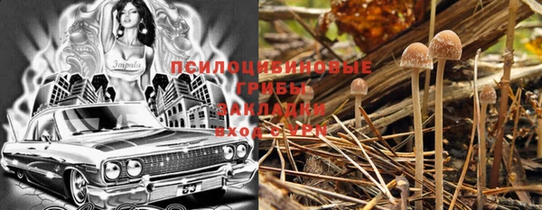 круглые Козельск