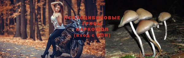 кристаллы Кодинск