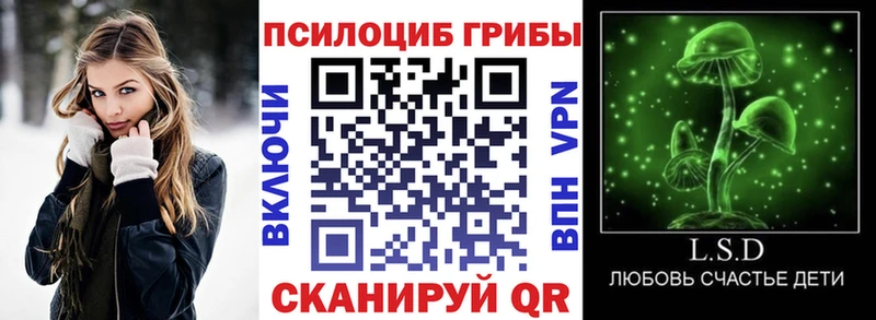Купить где  Балашов  Псилоцибиновые грибы прущие грибы 