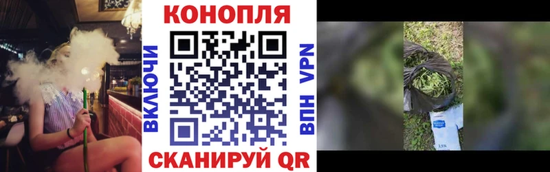 Каннабис сатива  Купить где  Балашов 